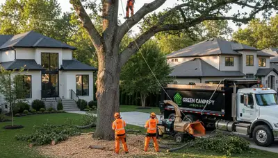 Professional tree removal crew trimming oak in Wilmington, NC yard for Chop Chop Tree service